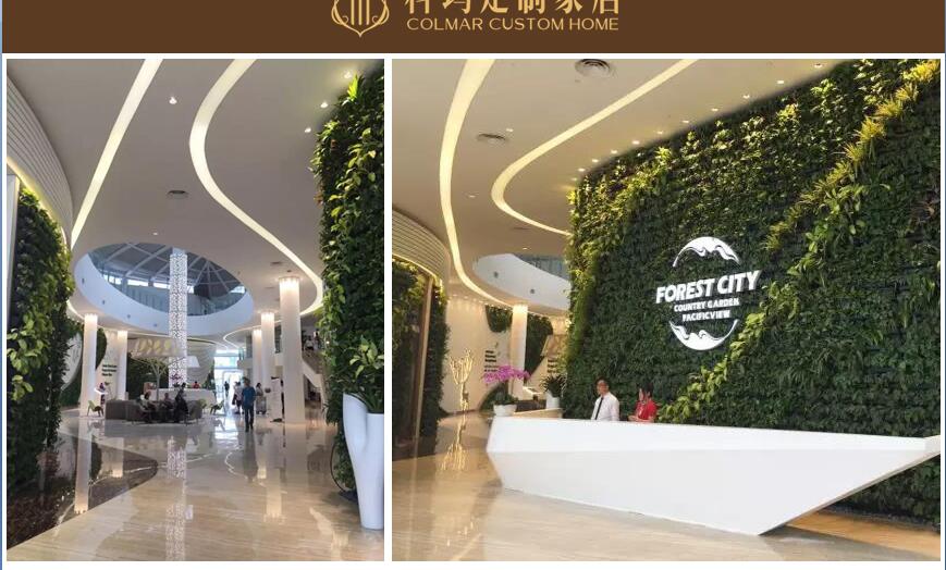 馬來西亞碧桂園森林城市